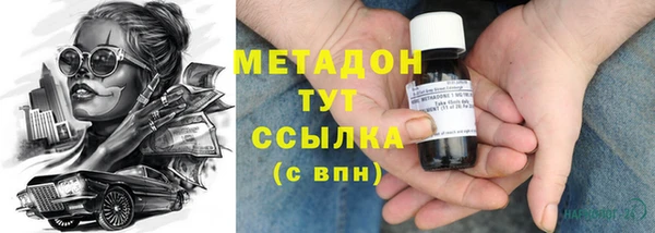 прущие грибы Весьегонск