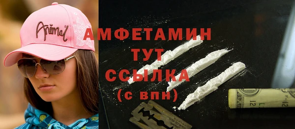 МДПВ Пестово