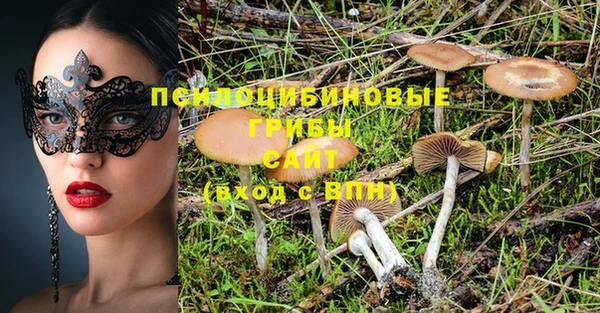МДПВ Пестово