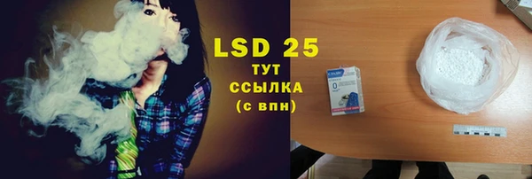 шишки Пересвет
