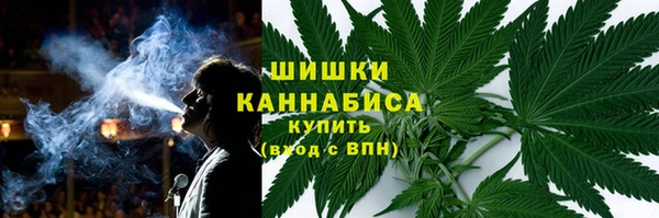 шишки Пересвет