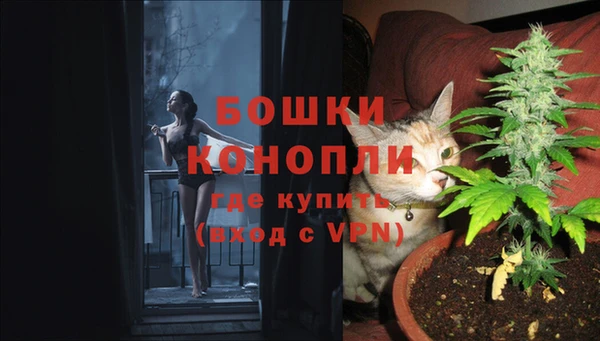 МДПВ Пестово