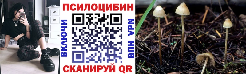Купить закладки Карабаш Псилоцибиновые грибы ЛСД